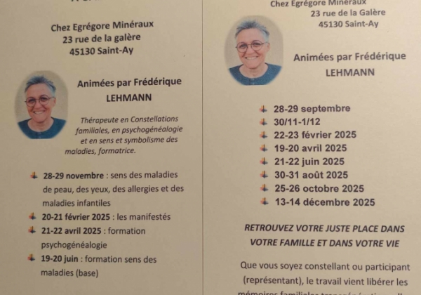 Constellations familiales et formations 2025 avec Frédérique Lehmann 