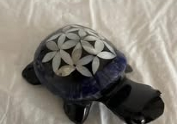 Obsilienne oeil celeste